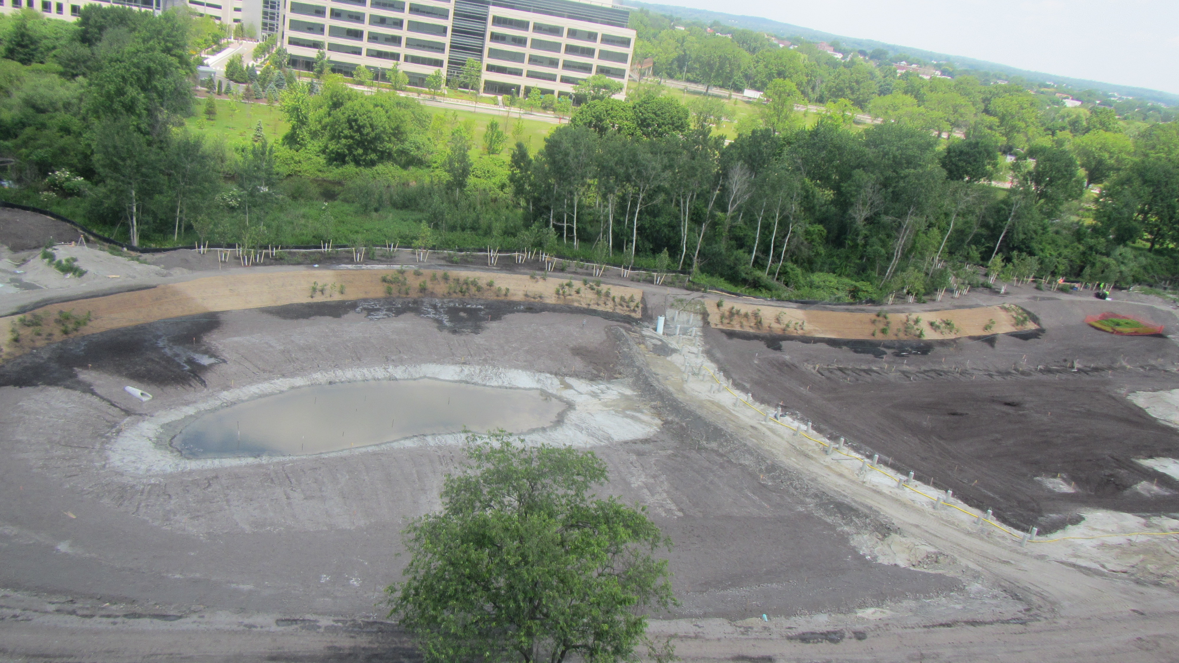 riparian planting_June 21 2012